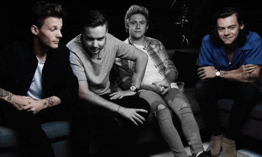 Larry Stylinson Harry And Louis GIF