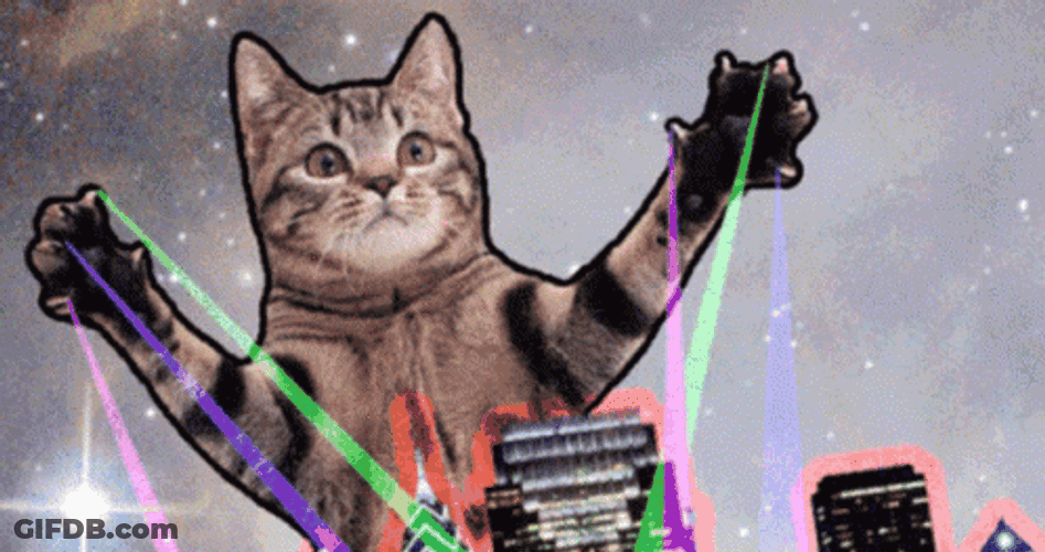 Laser Party Cat Dance GIF