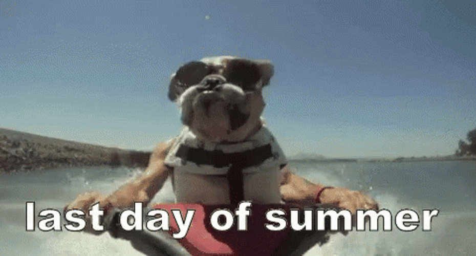 Last Day Of Summer GIF