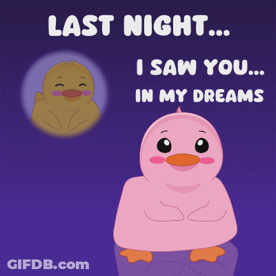 Last Night I Saw You In My Dreams GIF