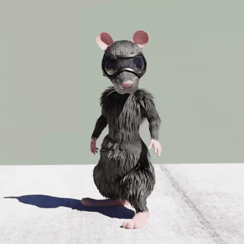 Last Standing Rat Showering GIF