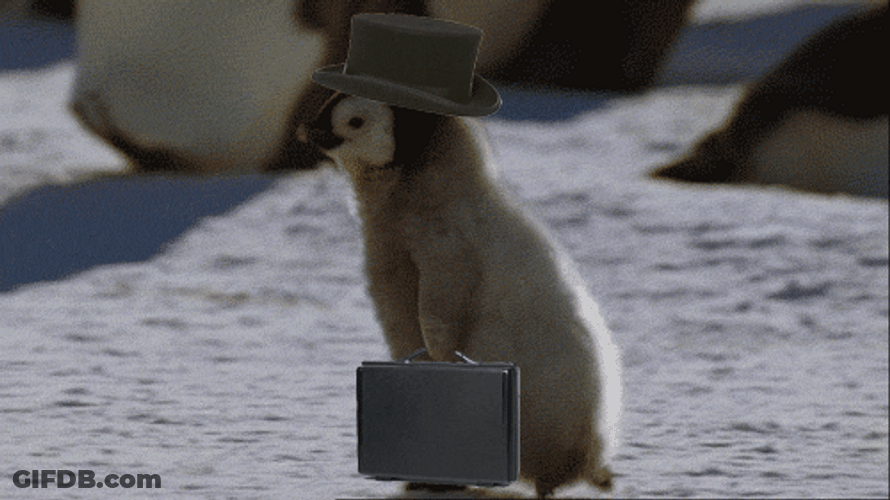 Late Working Penguin GIF