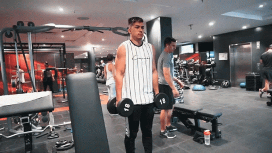 Lateral Raises Beginning Position GIF