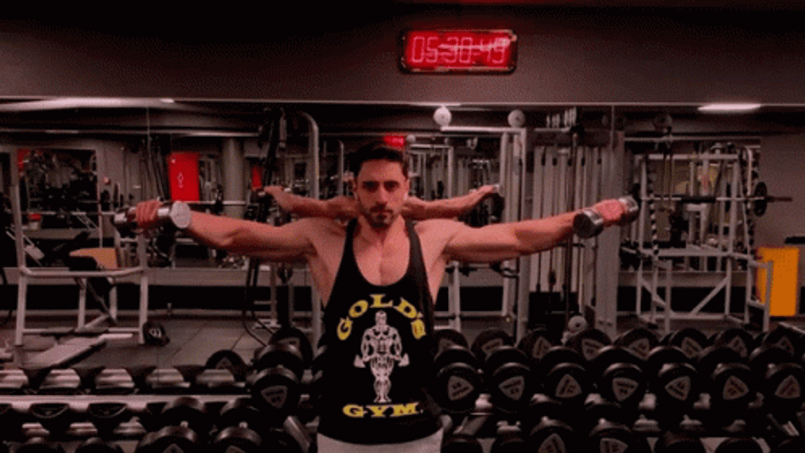 Lateral Raises Gym Execution GIF