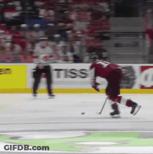Latvian Hockey GIF