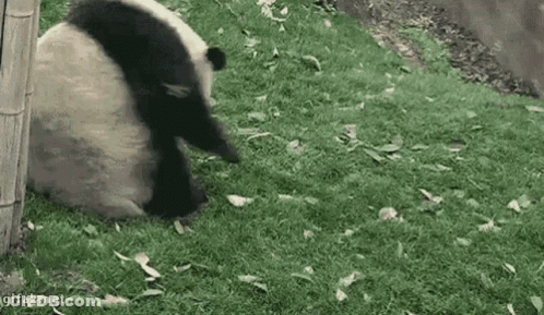 Laughing Crying Smiley Too Funny GIF