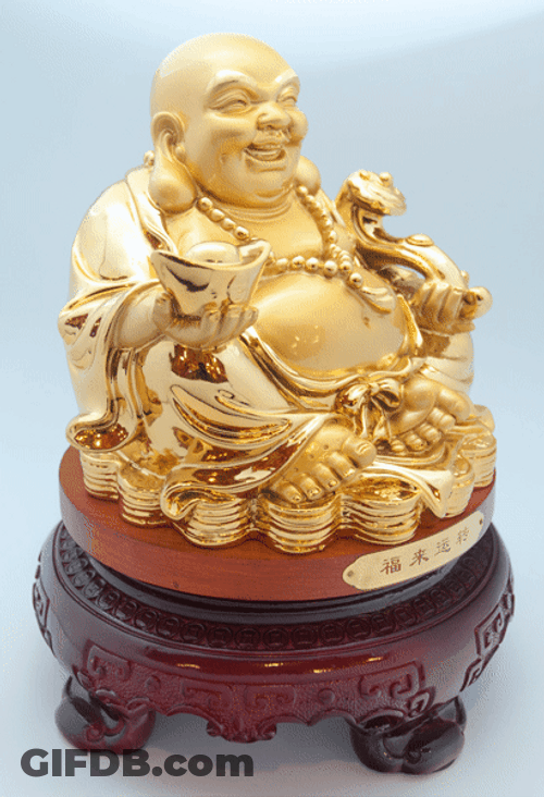 Laughing Golden Fat Buddha On Display GIF