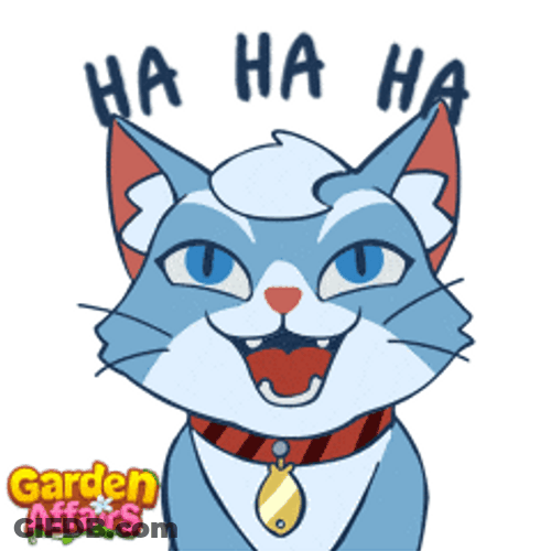 Laughing Happy Cat Meme GIF