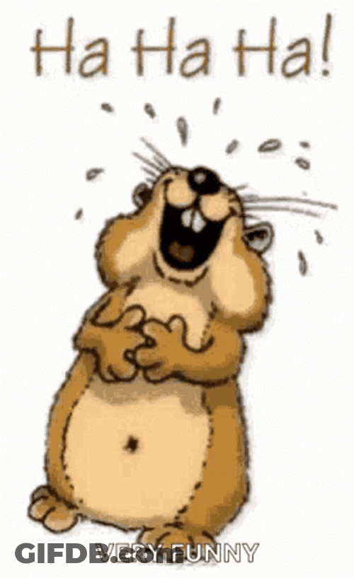 Laughing Hard Cute Rodent Beaver GIF