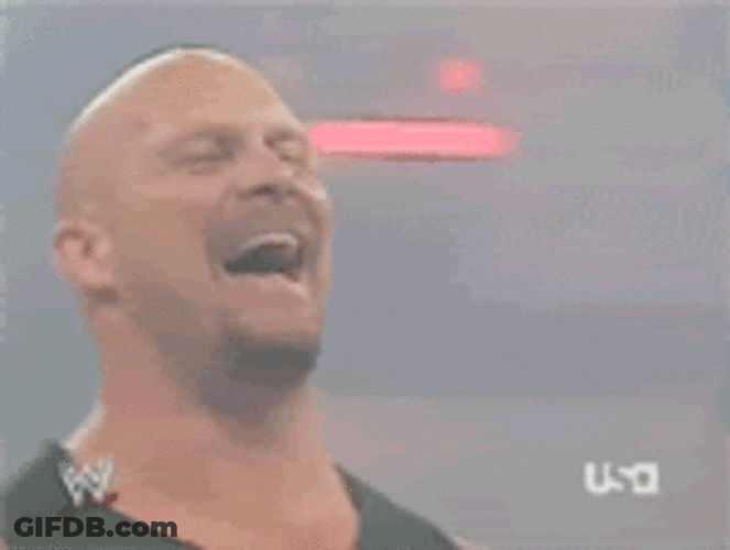 Laughing Meme Steve Austin GIF