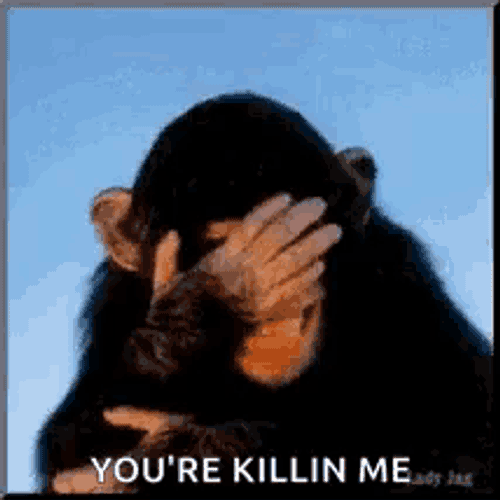Laughing Monkey GIF