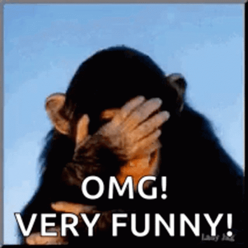 Laughing Monkey Omg GIF