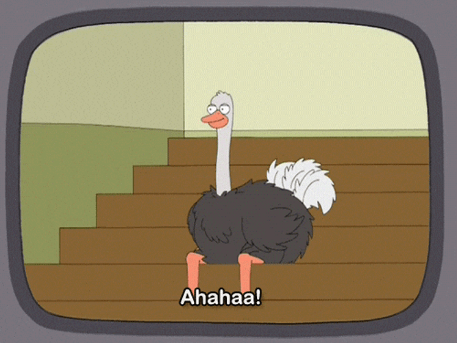 Laughing Ostrich Sitting On Staircase GIF