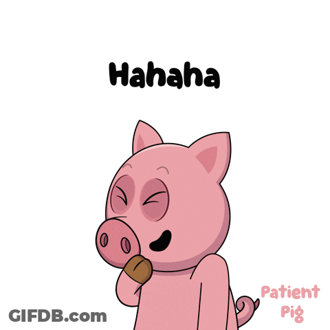 Laughing Pig With Hahaha GIF