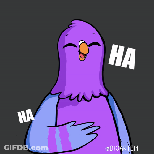 Laughing Pigeon Saying Ha Ha Ha GIF