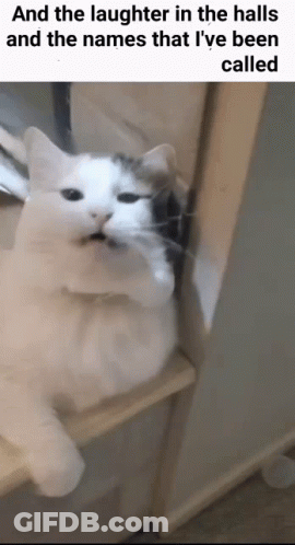 Laughter In The Halls Oh The Misery GIF