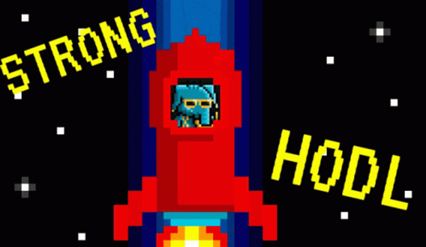 Launching Rocket Hodl GIF