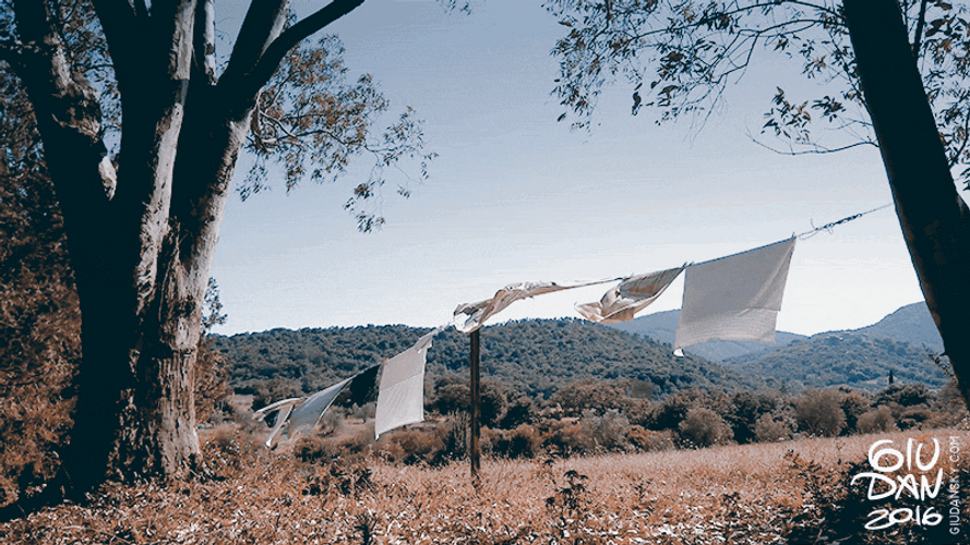 Laundry Blown By Wind GIF