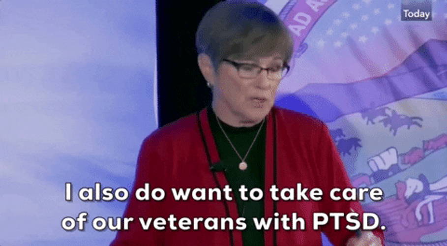 Laura Kelly Veterans With Ptsd GIF