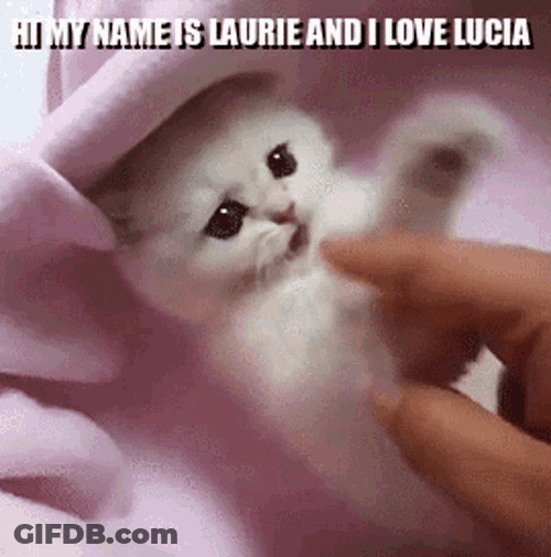Laurie Lucia GIF