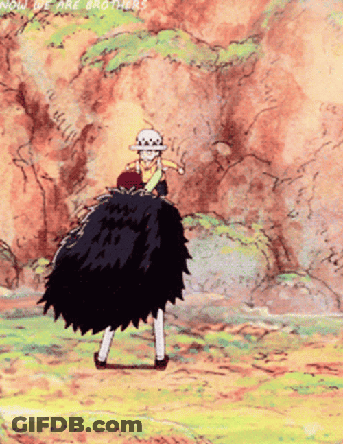 Law And Corazon One Piece GIF
