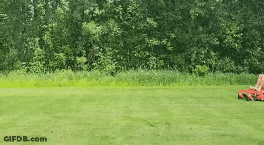 Lawn Mower Ariens Ride Cut Grass GIF