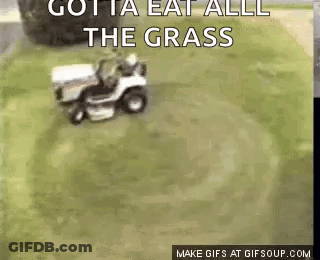 Lawn Mower Cutting Grass Gotta Eat All The Grass GIF