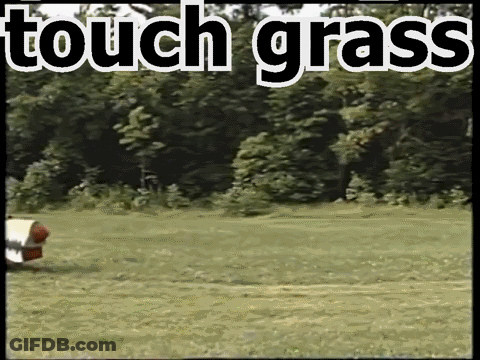 Lawn Mower Cutting Grass Saying Touch Grass GIF