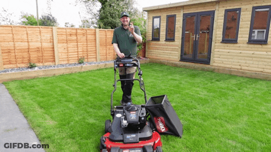 Lawn Mower Jimmy The Mower GIF