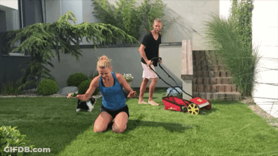 Lawn Mower Lucie Safarova Gardening GIF