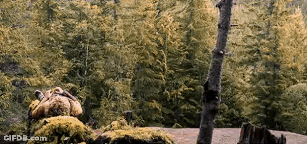 Laying Down In The Forest Percy Jackson GIF