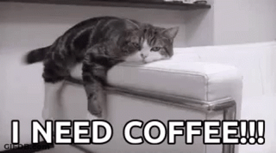 Lazy Cat Need Coffee GIF