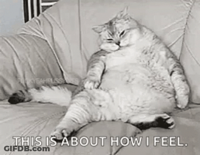 Lazy Couch Potato GIF