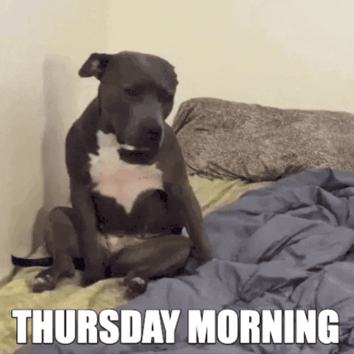 Lazy Dog Thursday Morning Blessings GIF