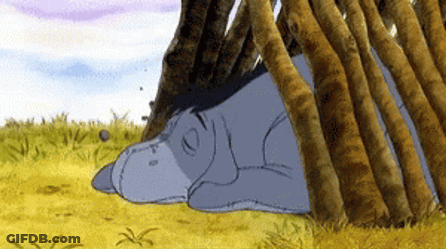 Lazy Eeyore Missing The Rock GIF