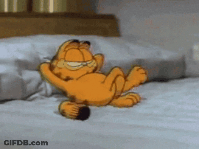 Lazy Garfield In Room GIF