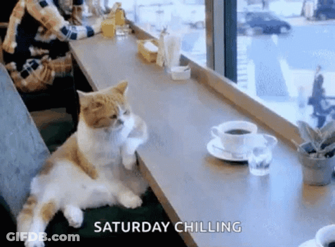 Lazy Saturday Chilling GIF
