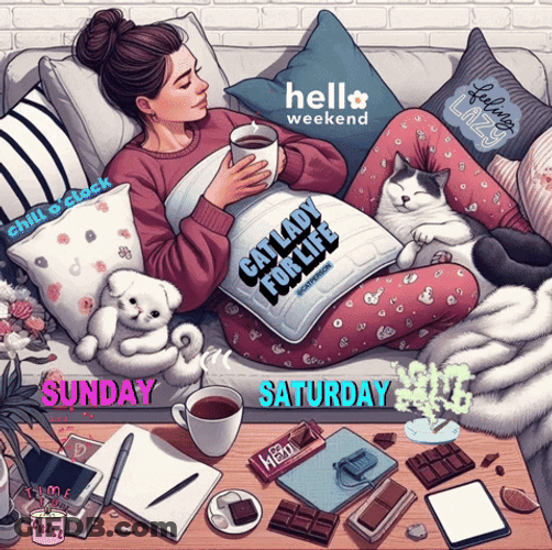 Lazy Saturday Hello Weekend GIF