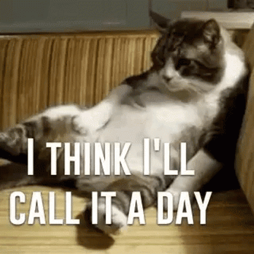 Lazy Saturday I Think I'll Call It A Day GIF