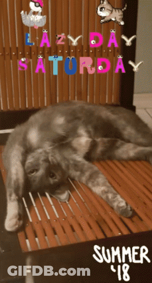 Lazy Saturday Summer GIF