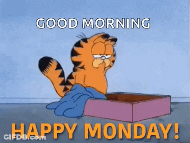 Lazy  Sleepy Garfield Funny Monday Meme GIF
