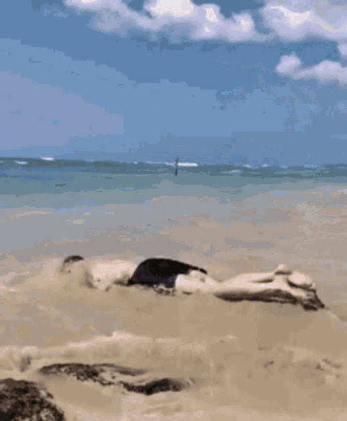 Lazy Summer Crawling In Beach GIF