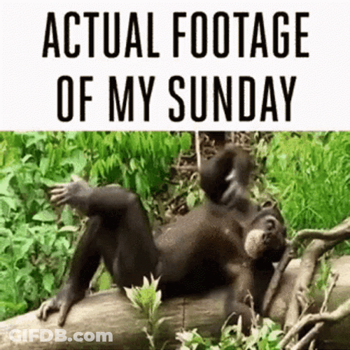 Lazy Sunday Actual Footage GIF