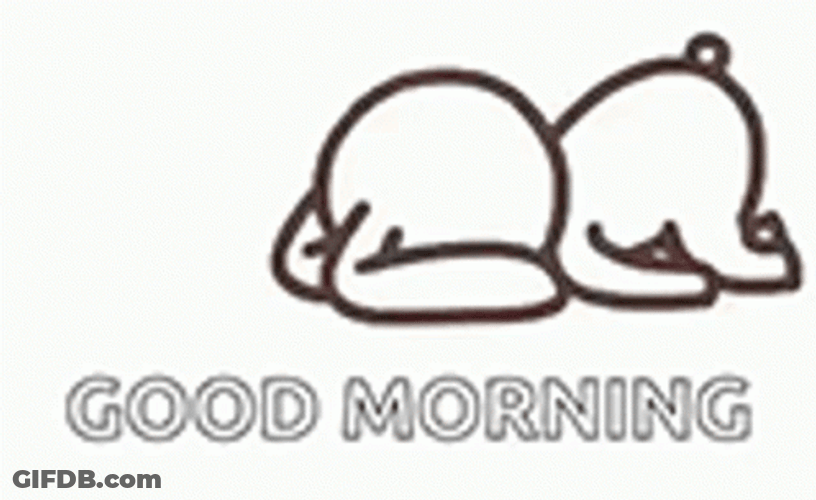 Lazy Sunday Bunny Rabbit GIF