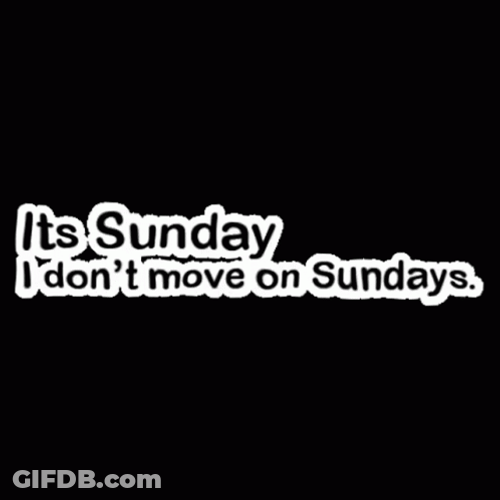 Lazy Sunday Do Not Move GIF