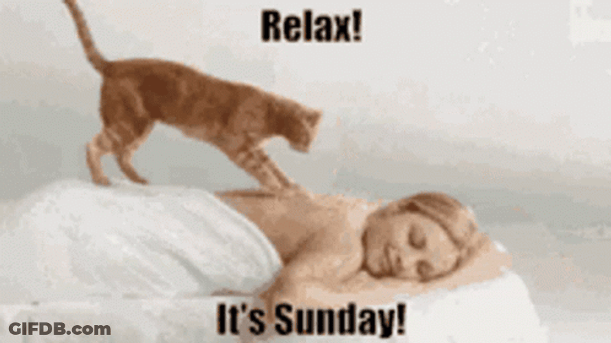 Lazy Sunday Ginger Cat Masseuse GIF