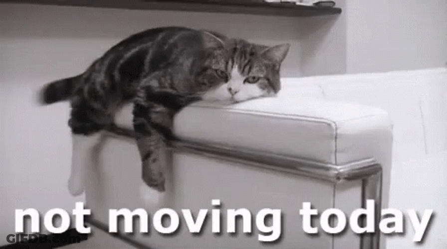 Lazy Sunday Not Moving Today GIF