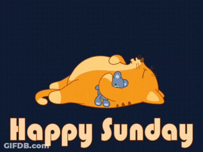 Lazy Sunday Sleeping Ginger Cat GIF