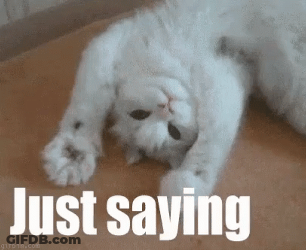 Lazy White Cat Just Saying Hi GIF