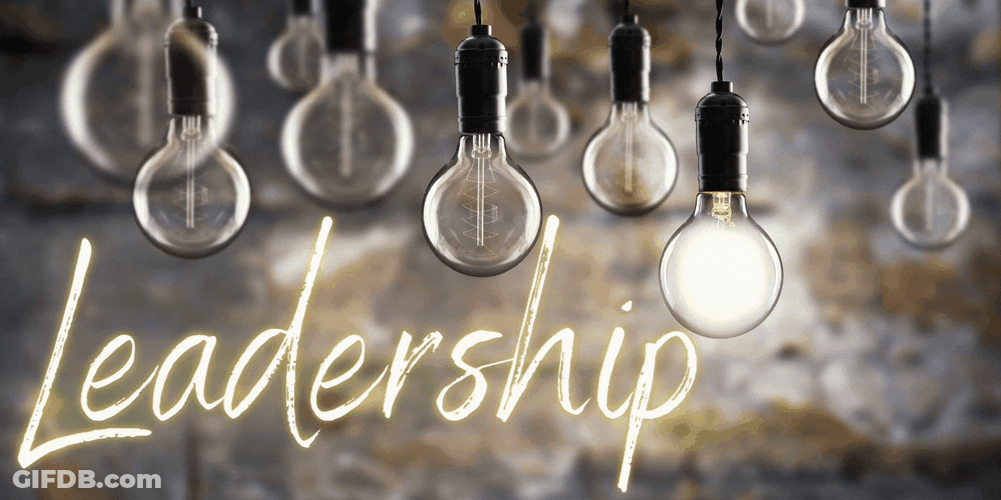 Leadership Computer Visual Art GIF